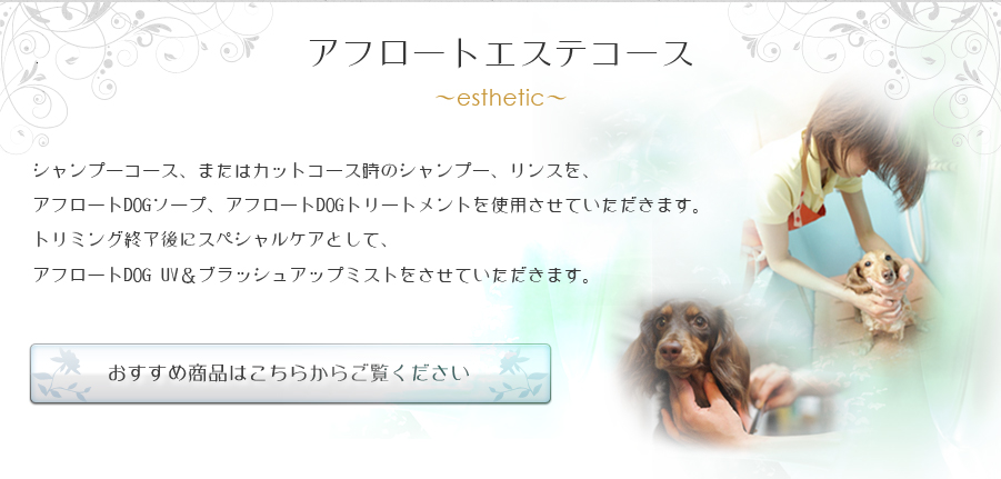アフロートエステコース 〜esthetic〜
シャンプーコース、またはカットコース時の
シャンプー、リンスを、アフロートDOGソープ、アフロートDOGトリートメント
を使用させていただきます。トリミング終了後にスペシャルケアとして、
アフロートDOG UV&ブラッシュアップミストをさせていただきます。