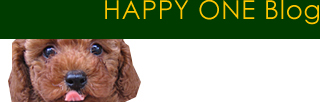 HAPPY ONE Blog