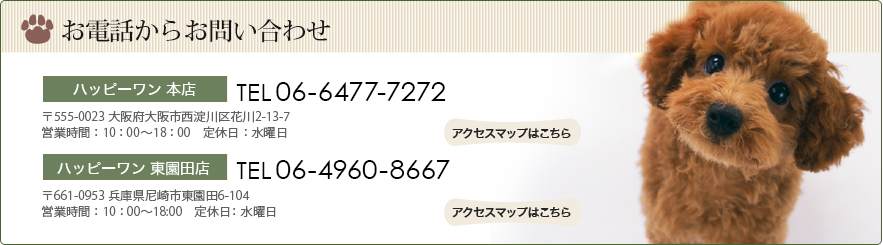 ä餪䤤碌
ϥåԡŹTEL06-6477-7272555-00232-13-7
ĶȻ֡ ĶȻ֡1000~8:00 
ϥåԡŹTEL06-4960-8667661-0953ʼ˸6-104
ĶȻ֡ĶȻ֡1000~8:00 