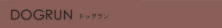 DOGRUN ȥߥ