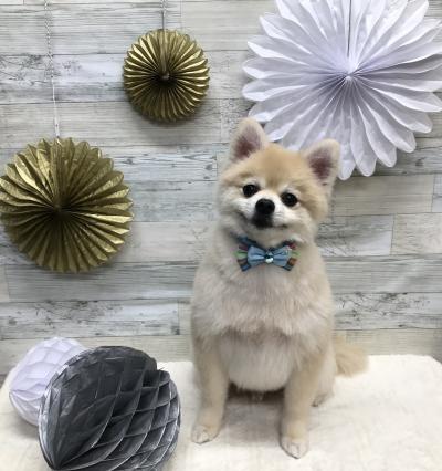 �д餬�İ�������˥������