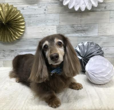 ���줵���繥��bebe�����