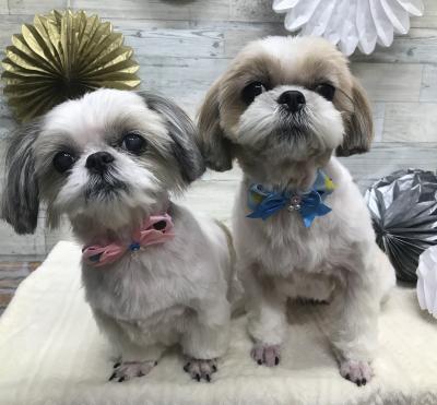 �������⥰������