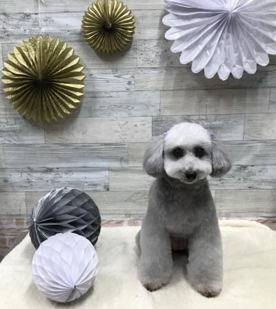 ����äȤ����ܤʤΤ�������