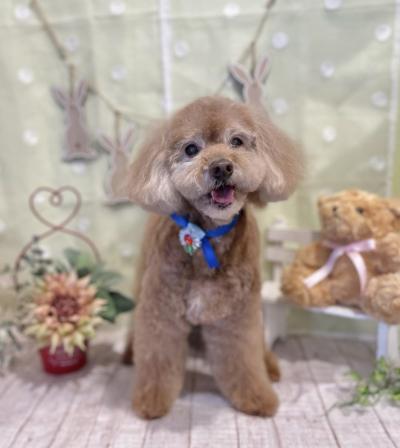 �д餬�ȤäƤ�İ����Ըפ����