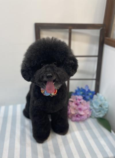 ���������Ϥʤ�����