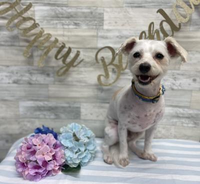 �������繥���饯�����