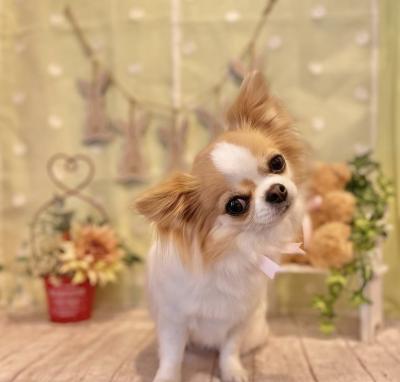 �������Ź���������