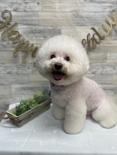 �������äѤ��錄�����