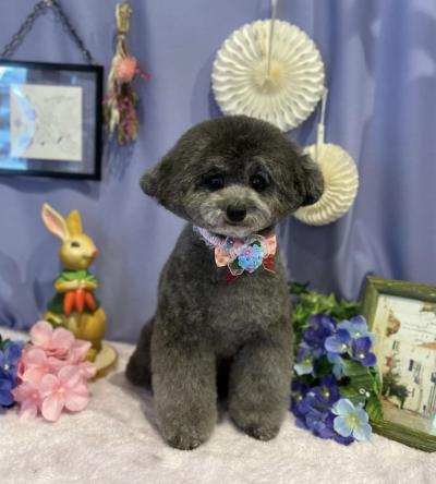 ���Ĥ�ϥ��ƥ󥷥��Υ�������