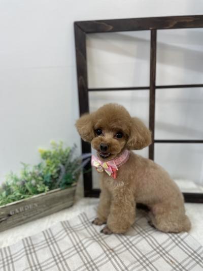 �Ͳ��ä��������ʤ��󤺤�����