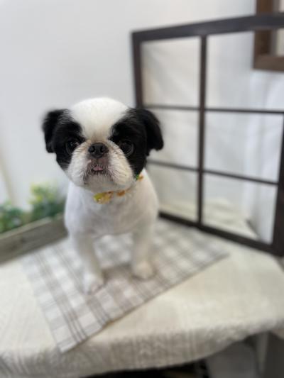 ���äȤ������Υ����������