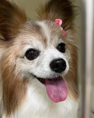 ���줵����ԤĤޤʤ��������������