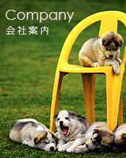 company