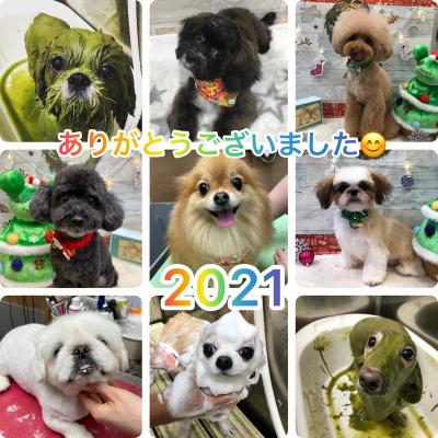 º£Ç¯Å٤αĶȤò½ªÎ»¤·¤Þ¤¹¡£