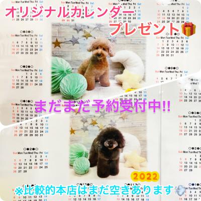 1月キャンペーン企画オリジナルカレンダープレゼント☆