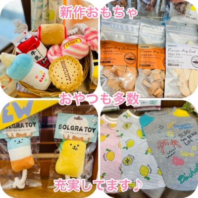 ¿·¾¦Éʳ¡¹Æþ²Ù¢ö¢ö