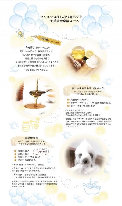 ¡ù¥¹¥Ú¥·¥ã¥ë¥±¥¢¥Ú¡¼¥¸¹¹¿·¤·¤Þ¤·¤¿¡ù