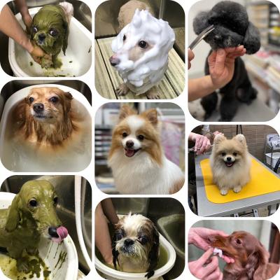 ²Æµ¨µÙ²Ë¤Ë¤Ä¤¤¤Æ