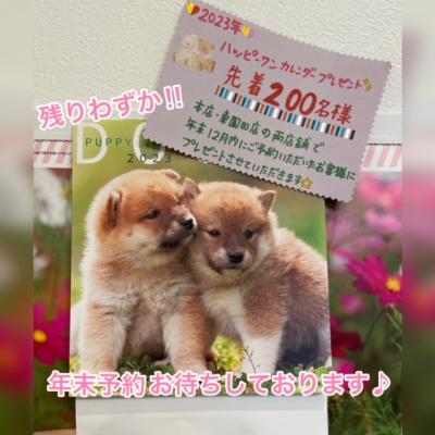 ǯËö¥È¥ê¥ß¥ó¥°¼õÉÕ¤·¤Æ¤ª¤ê¤Þ¤¹¡ù