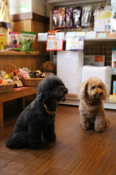 ¡ùµÙ¶È¤Î¤ªÃΤ餻¡ù