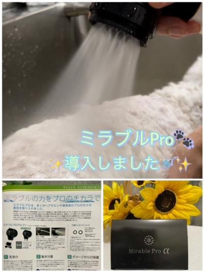 8·î¤è¤ê¥ß¥é¥Ö¥ëProƳÆþ¤¤¤¿¤·¤Þ¤·¤¿¡ª