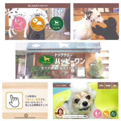 ¿·¤·¤¤¥Û¡¼¥à¥Ú¡¼¥¸¾Ò²ðư²è¤¬½ÐÍè¤Þ¤·¤¿¢ö