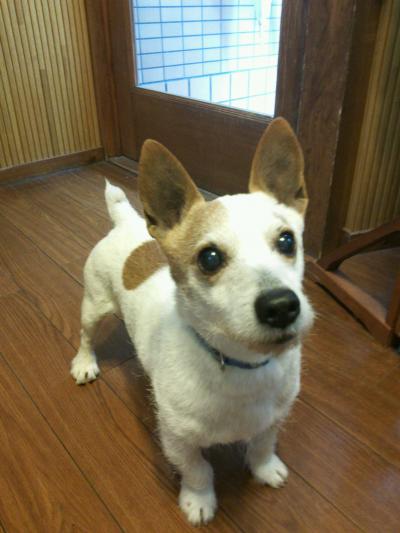 ¡ùGWµÙ¶È¤Î¤ªÃΤ餻¡ù