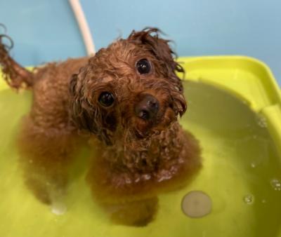 ¡ùŹµÙ¤Î¤ªÃΤ餻¡ù