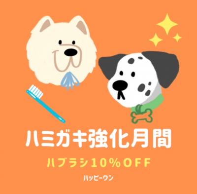 ¡ù¥Ï¥ß¥¬¥¶¯²½·î´Ö¤Î¤ªÃΤ餻¡ù