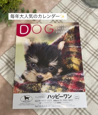 ¡ù2025ǯ¥«¥ì¥ó¥À¡¼¡ù