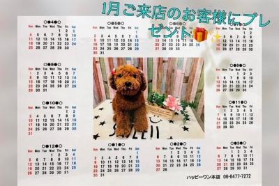 ¡ù¥ª¥ê¥¸¥Ê¥ë¥«¥ì¥ó¥À¡¼¡ù