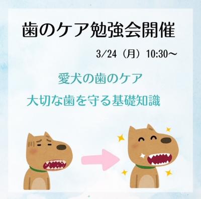 ¡ù»õ¤Î¥±¥¢ÊÙ¶¯²ñ ³«ºÅ¤Î¤ªÃΤ餻¡ù