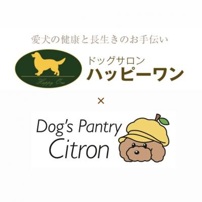 ¡ù¥ª¡¼¥×¥óÆü·èÄê¡ù