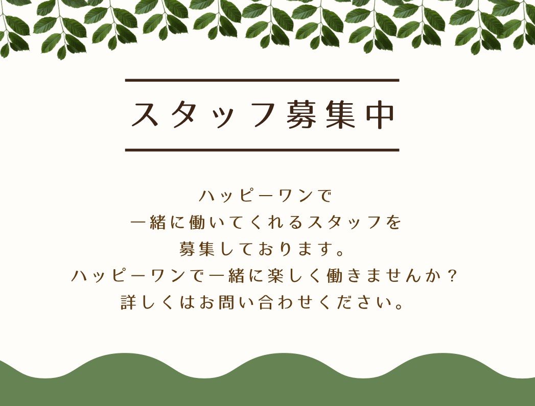 スタッフ募集中