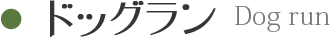 ドッグラン Dog run
